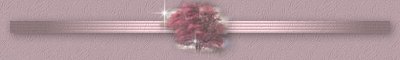 kit22_bar2.jpg (5150 octets)