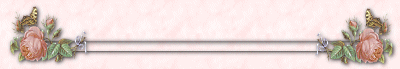 set2bar.gif (13279 octets)