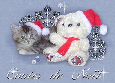 kittenbeartop2.jpg (38691 octets)